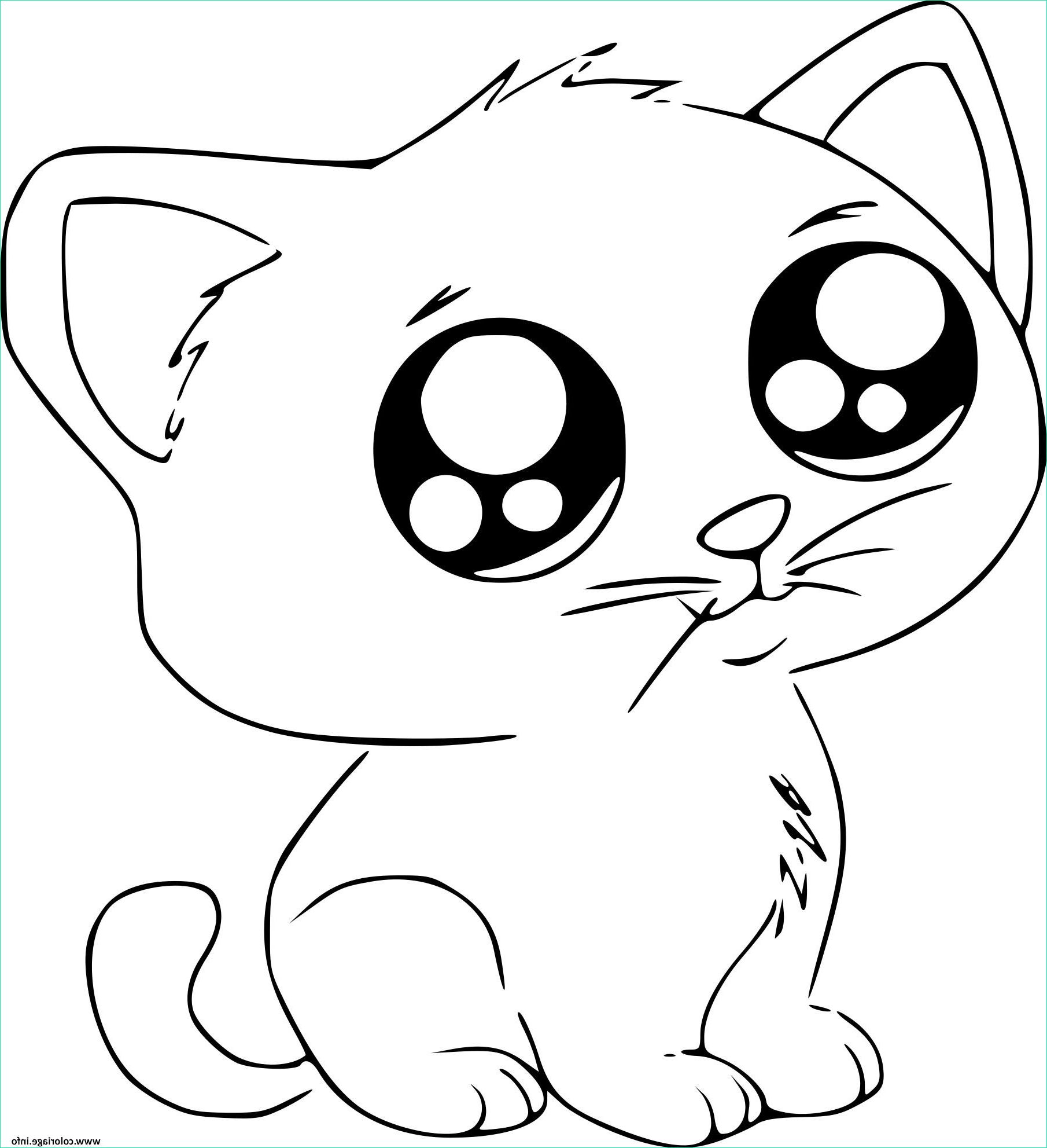 dessin chat kawaii cute coloriage