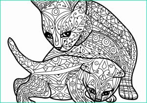 mignonne mandala animaux chat 54 pour coloriage pages for mandala animaux chat