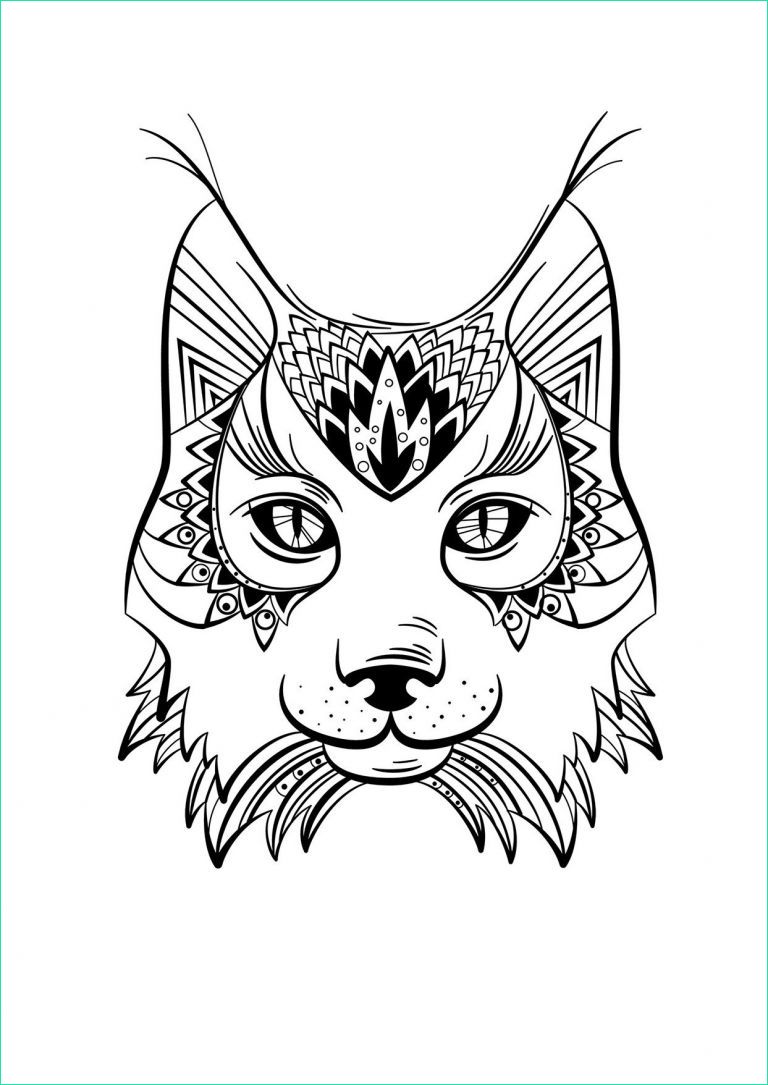 dessin chat mandala elegant photos coloriage animaux lynx coloring