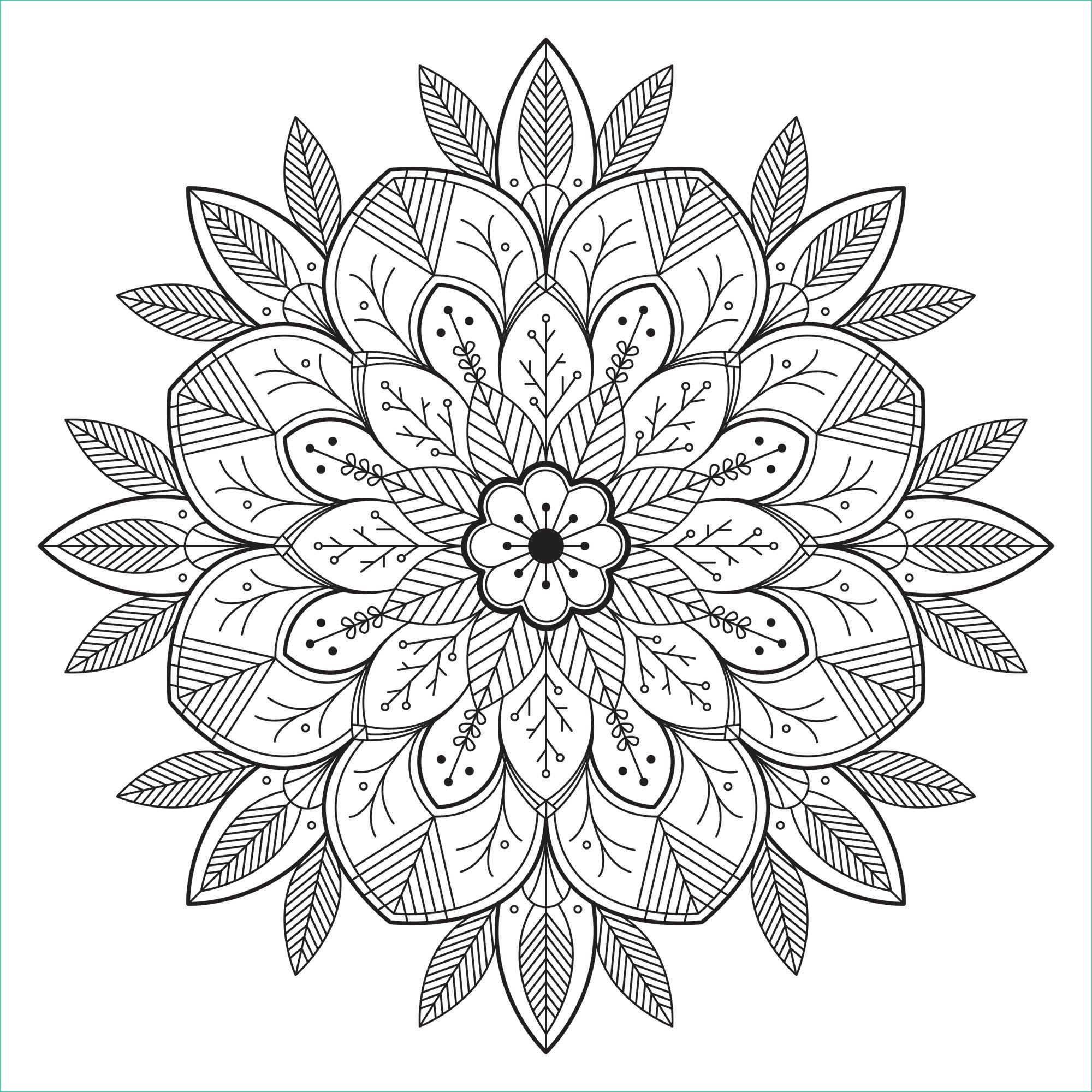 image=mandalas coloriage mandala avec fleurs et feuilles 1