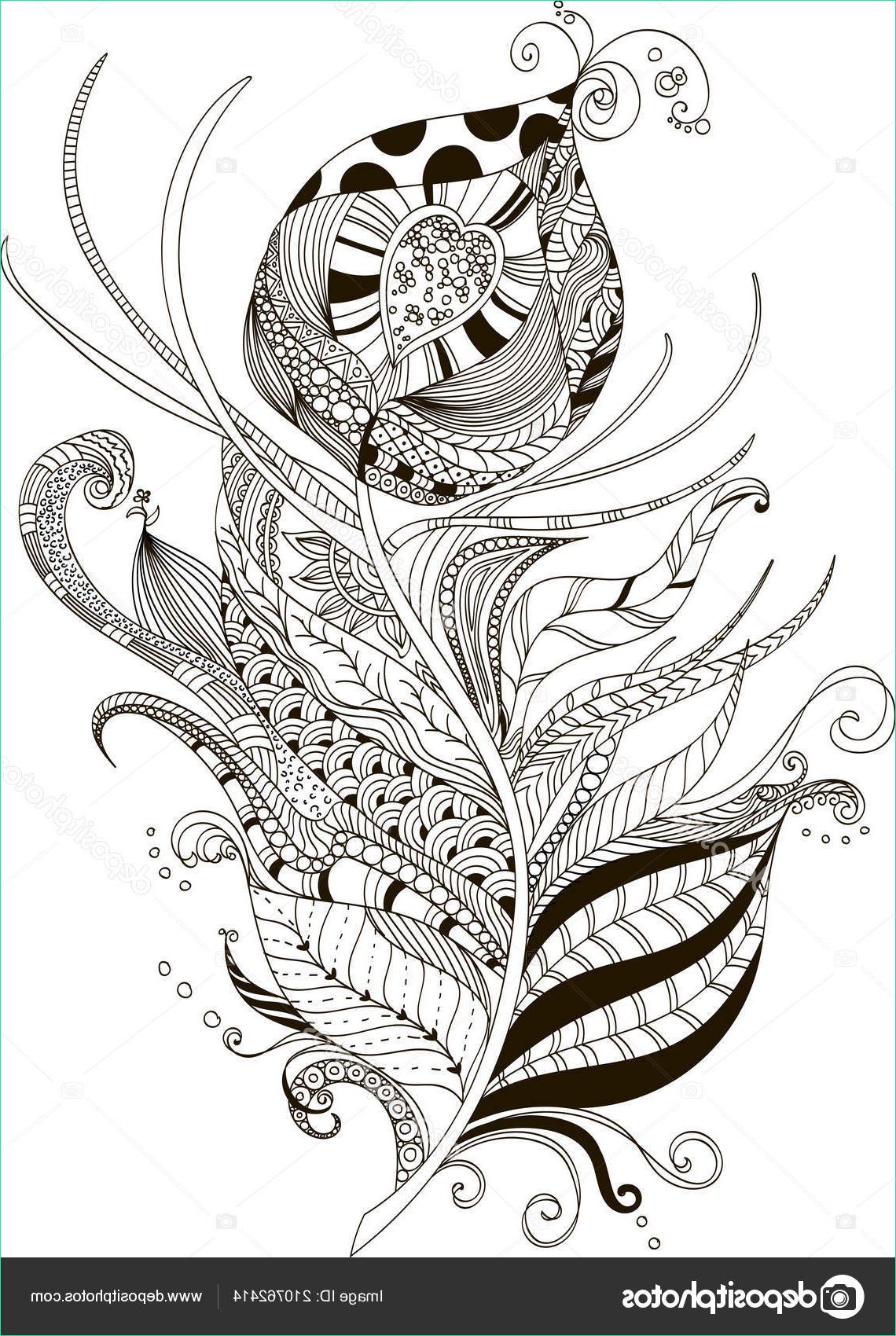stock illustration drawing peacock feather zentangle style