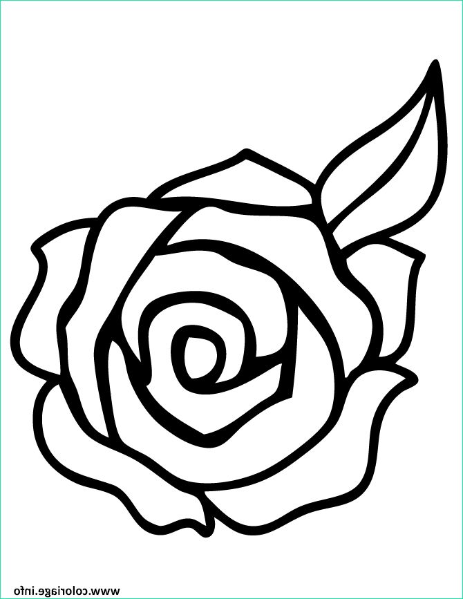 roses 140 coloriage