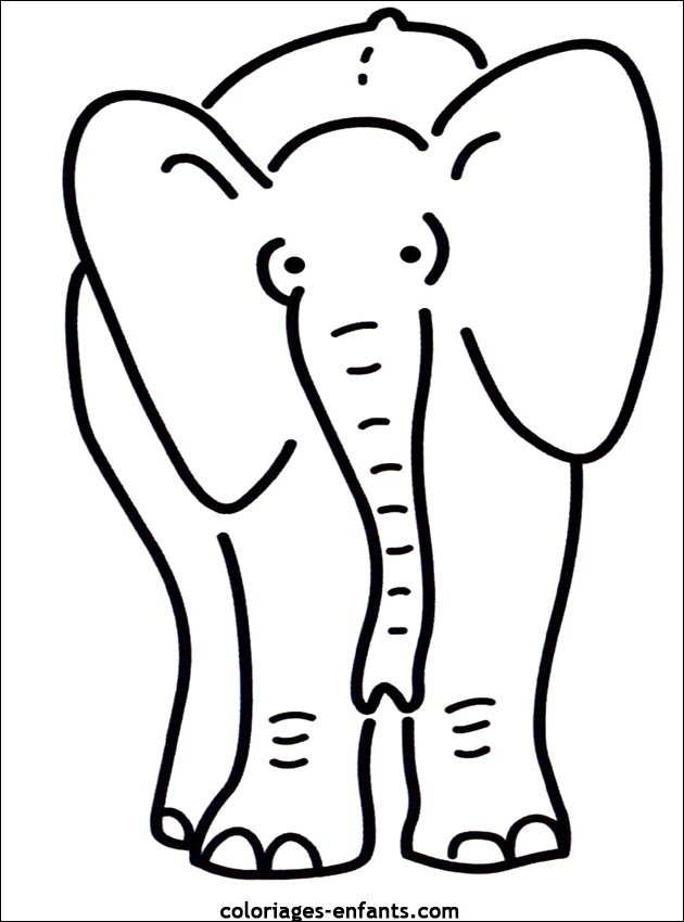 dessin tete elephant beau image dessin de elephant 8