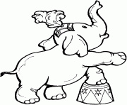 tete d elephant de face coloriage dessin