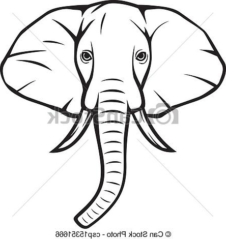 elephant head african elephant