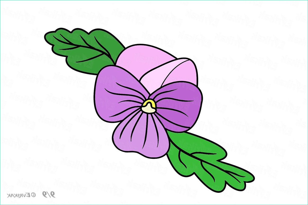 violette dessin