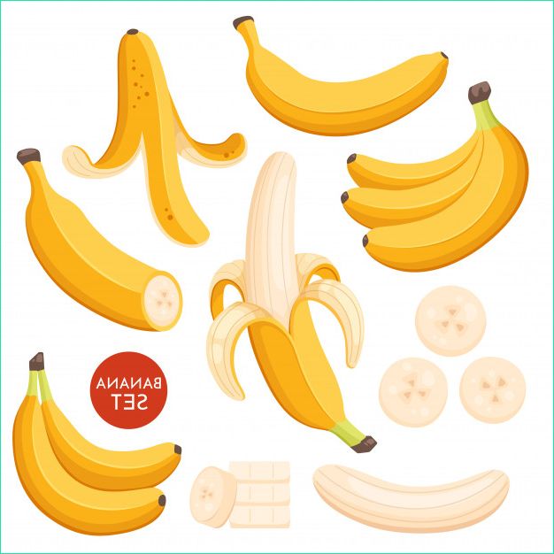 ensemble bananes illustration jaune dessin anime single ecorce banane grappes fruits frais banane