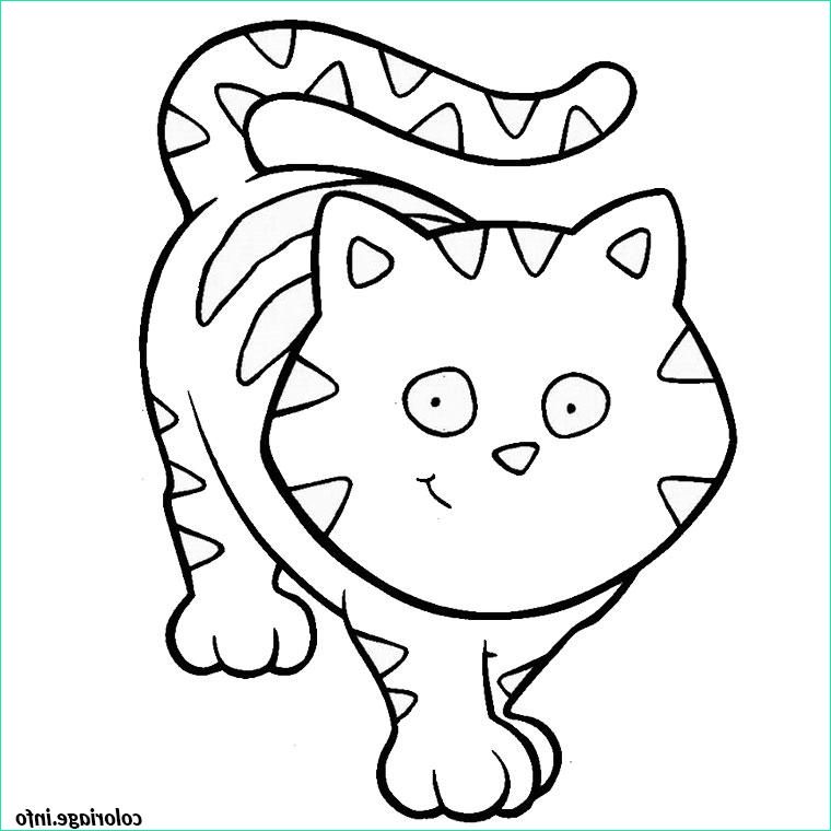 animaux chat coloriage 58