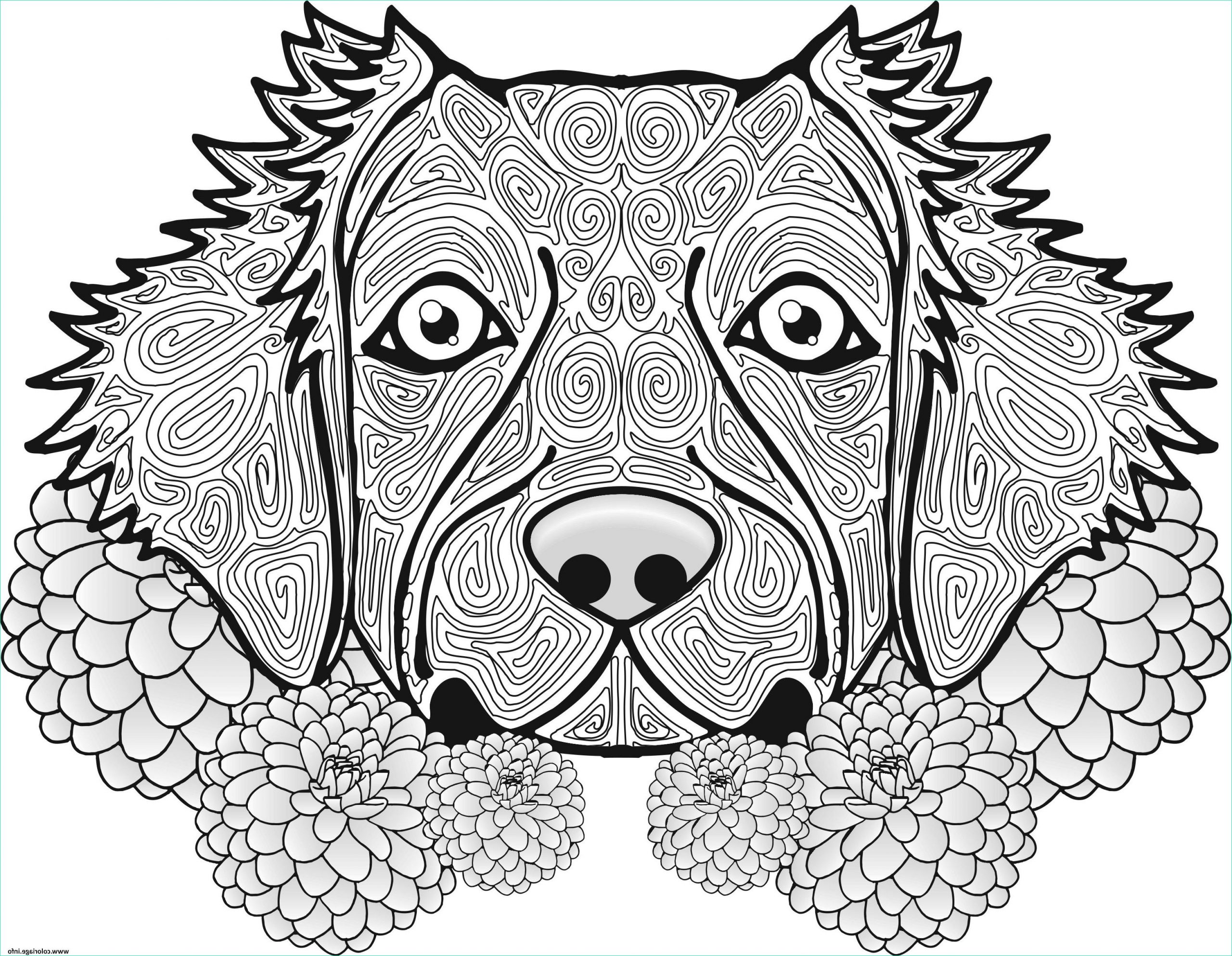 adulte chien dog animal coloriage dessin