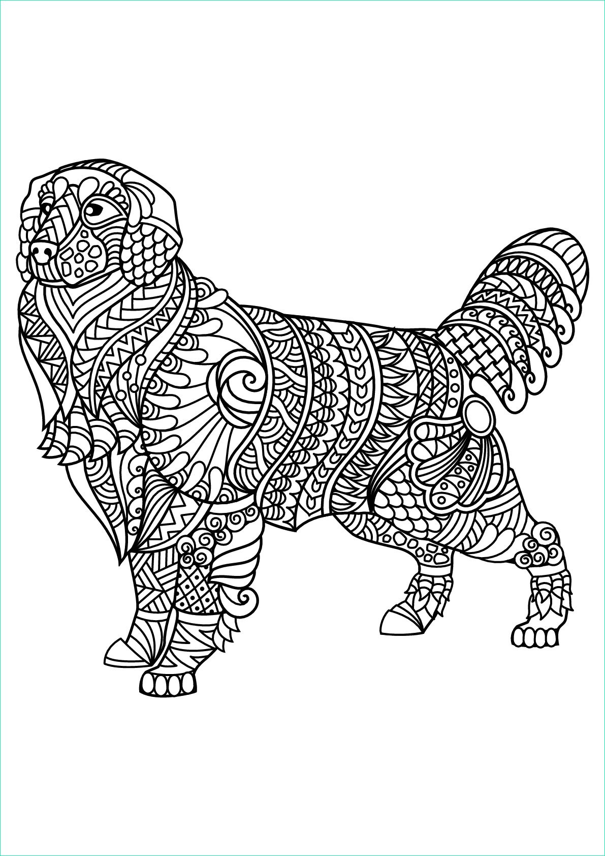 image=chiens coloriage livre gratuit chien labrador 1