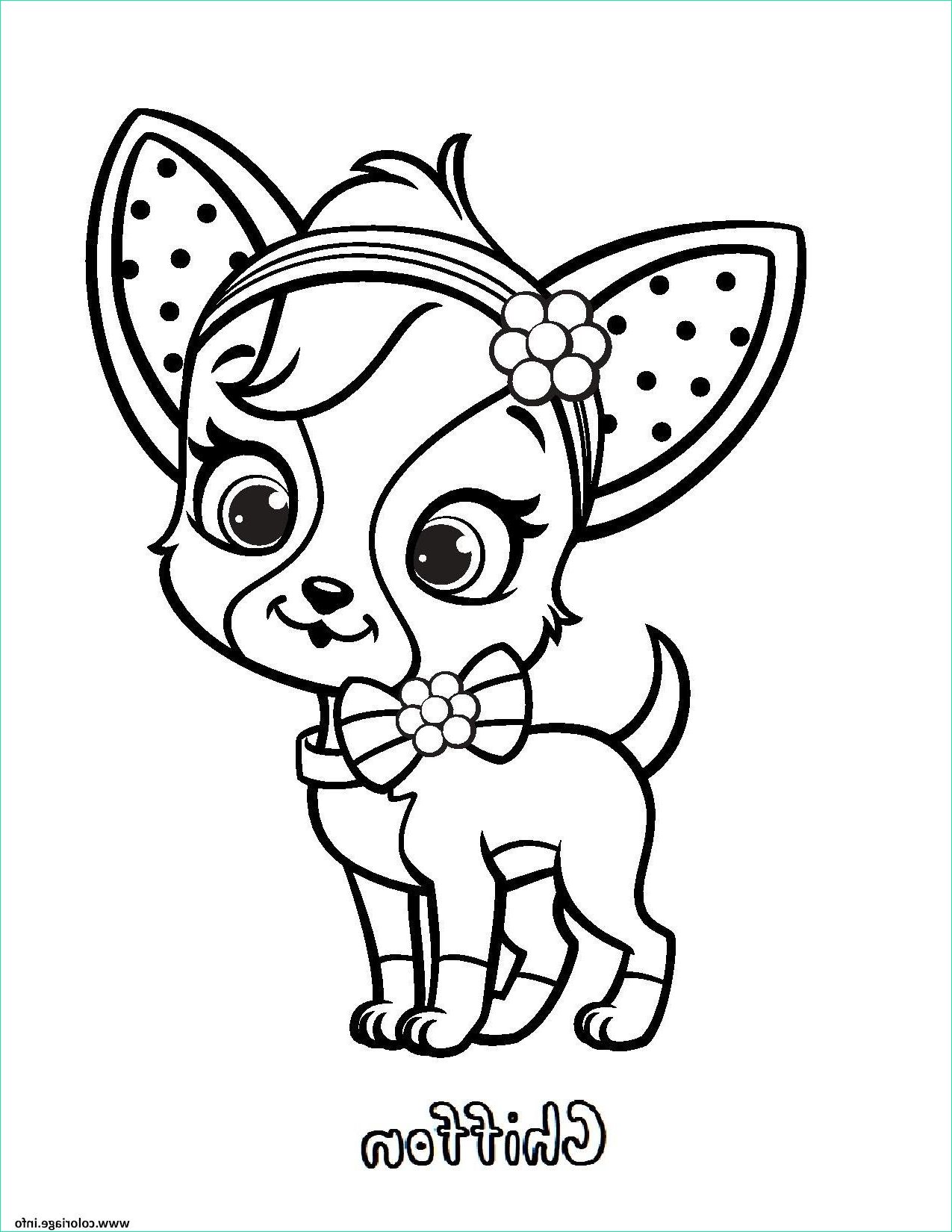 petit chien chiffon fraisinette coloriage dessin