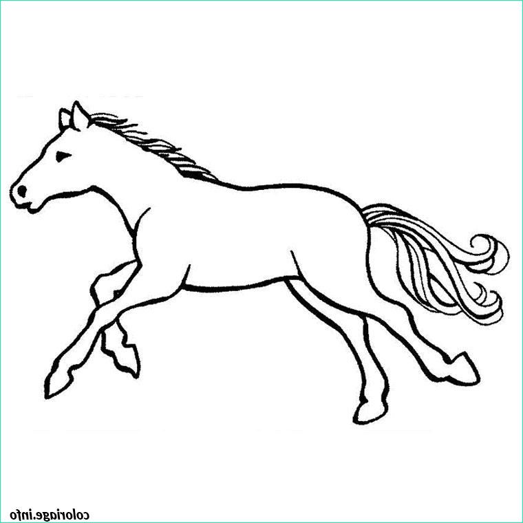 chevaux au galop coloriage 282