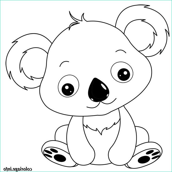 de bebe koala coloriage 122
