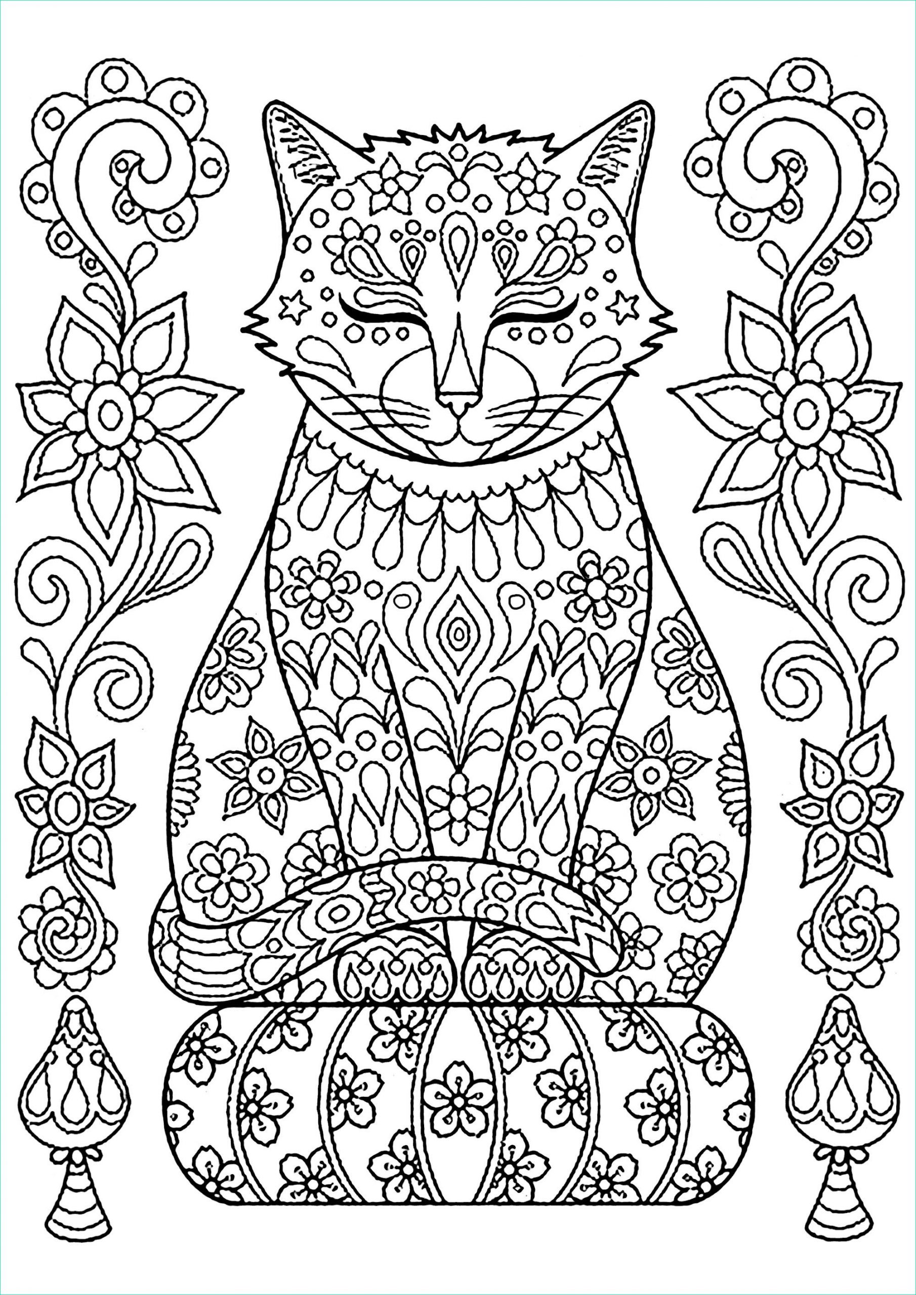 image=cats coloring cute cat on pillow with flowers 1