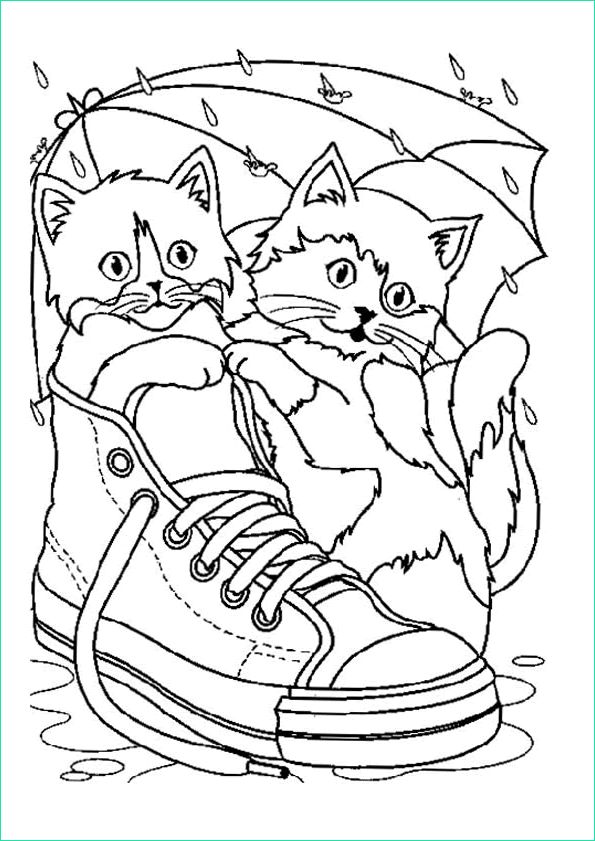 image=kids animals coloring two cute cats in a shoe 2