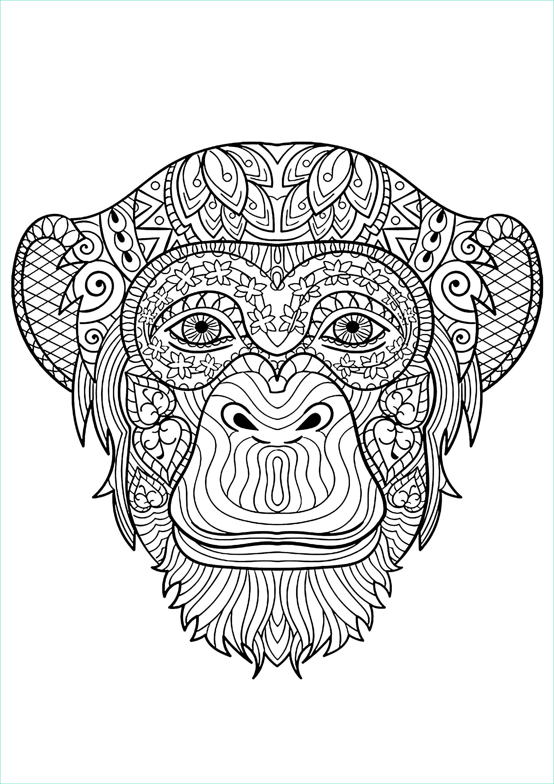 image=monkeys coloring monkey head 1