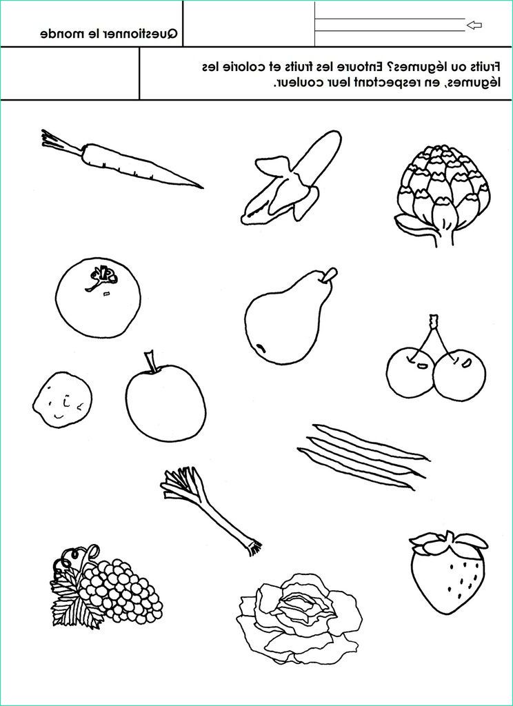fruits ou legumes