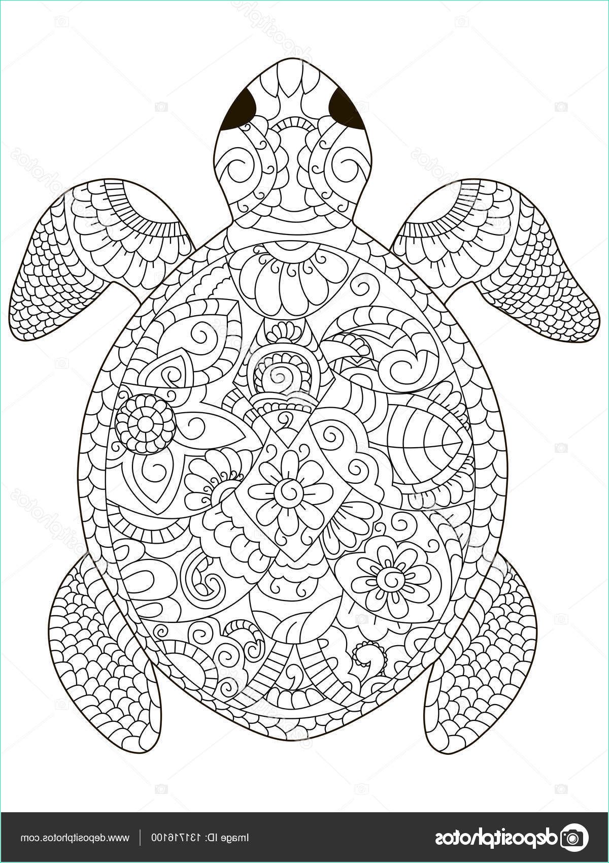 12 fabuleux coloriage mandala animaux tortue images