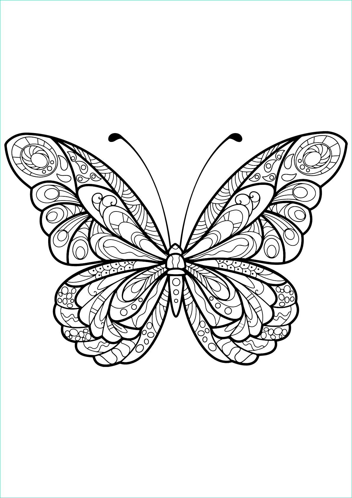 image coloriage papillon