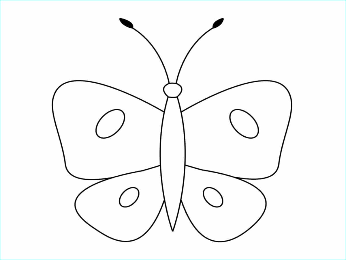 18 coloriage de papillon pictures
