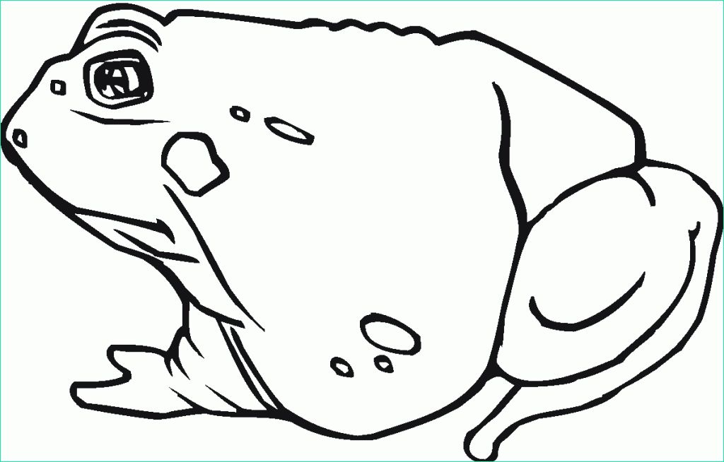 toad sketch templates
