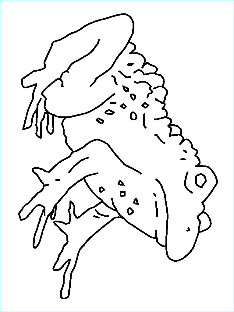coloring picture of toad