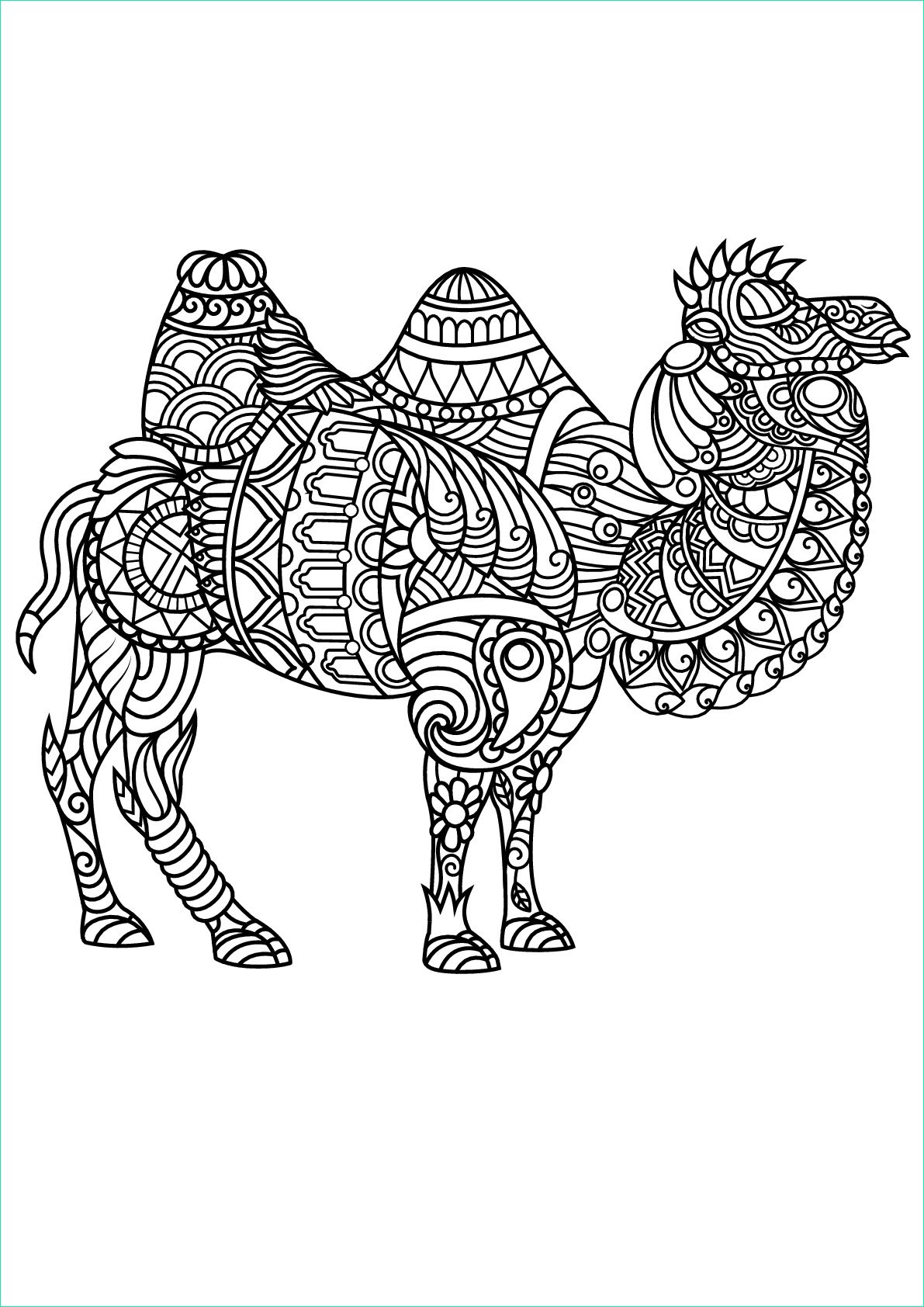 image=camels coloring free book camel 1