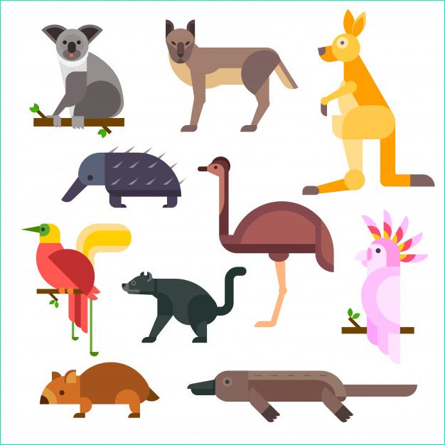 collection vecteur dessin anime animaux sauvages australie