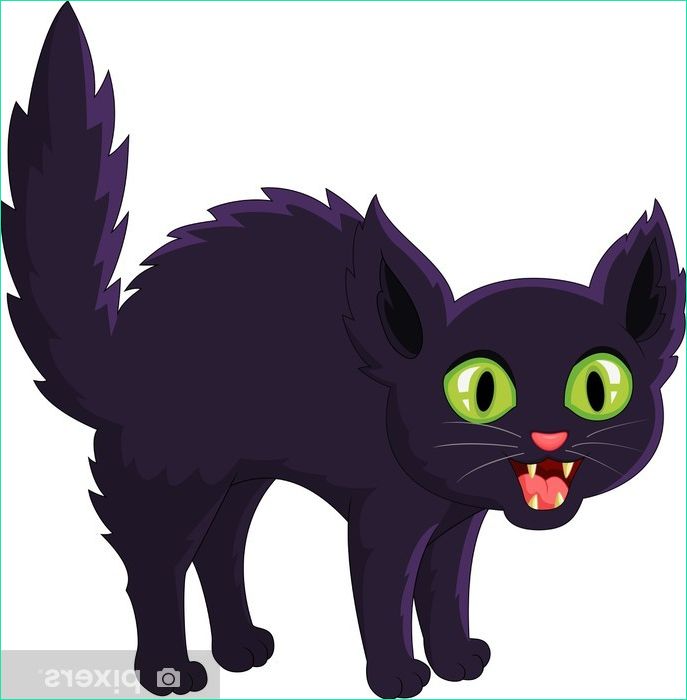 dessin anime effraye chat noir