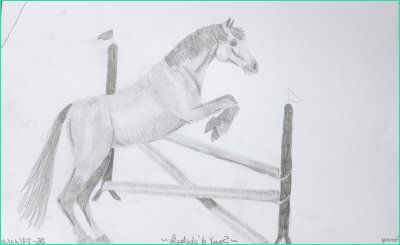Voici quelques photos de mes dessins Fanny de chevaux