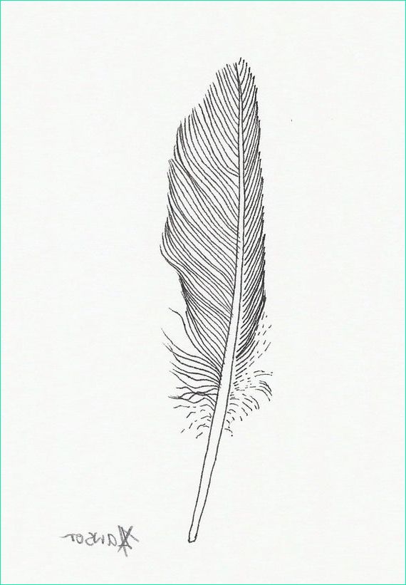 small black feather original ink drawing