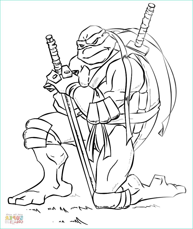 leonardo de tortues ninja
