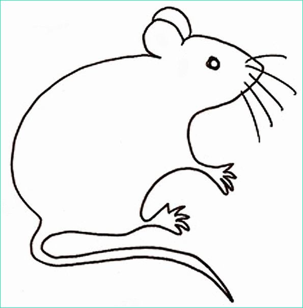 dessin souris facile beau photos imprime le dessin a colorier de souris