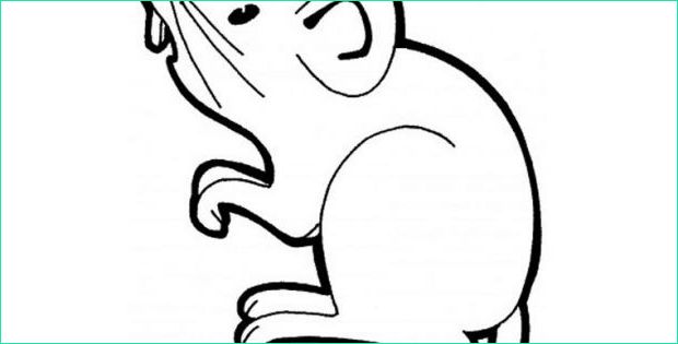 dessin souris facile bestof photos souris 4 coloriage de souris coloriages pour enfants
