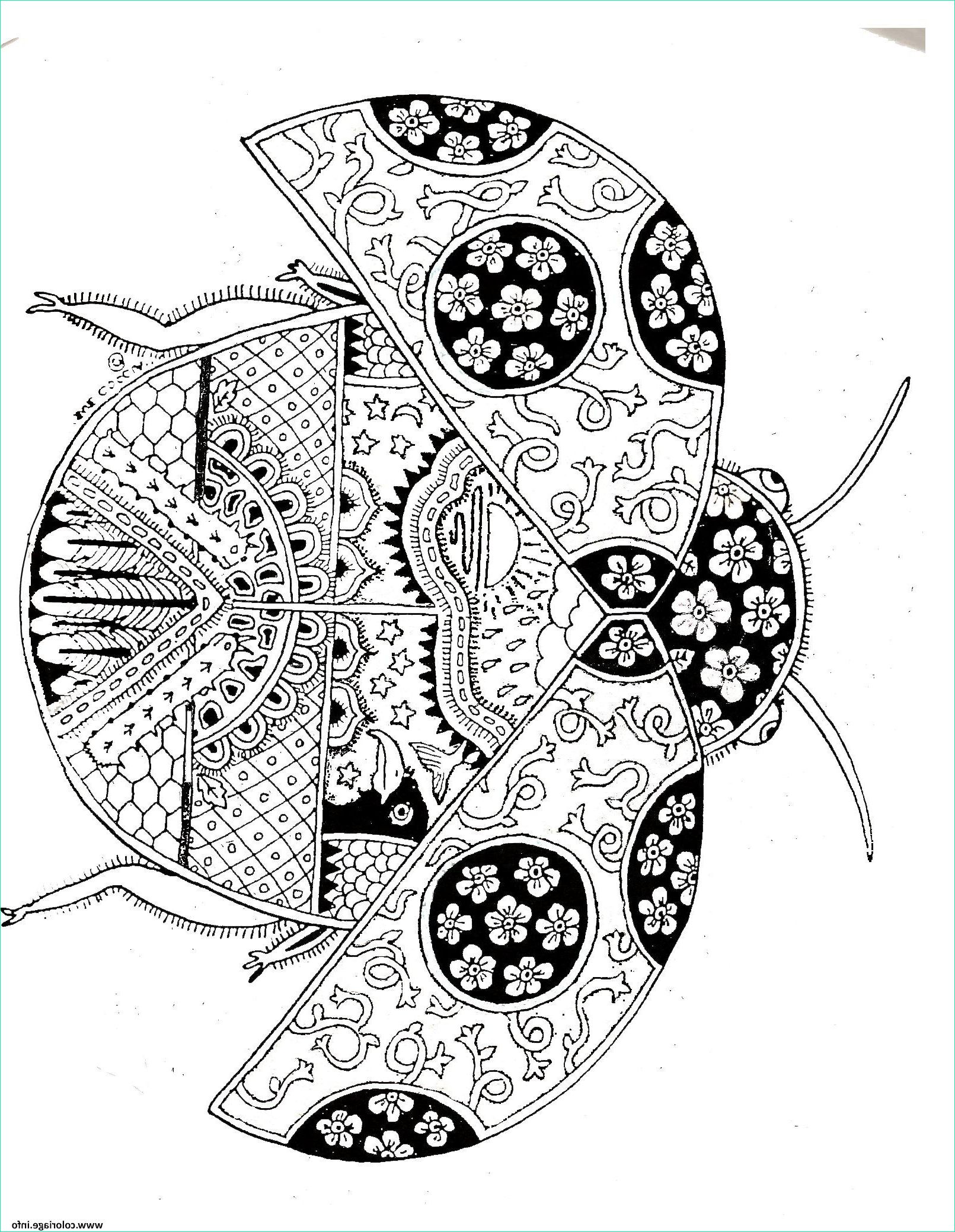 dessin coloriage ladybug