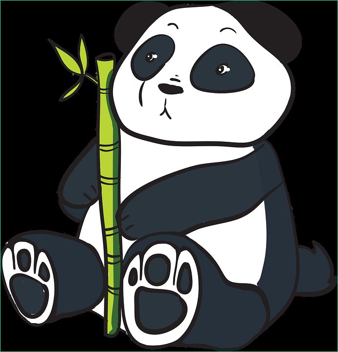 panda china bear cartoon bamboo