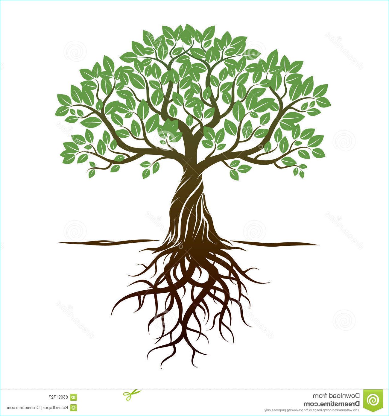 stock illustration color tree roots vector illustration graphic element image