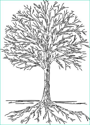 contour drawing of a tree silhouette with roots gm