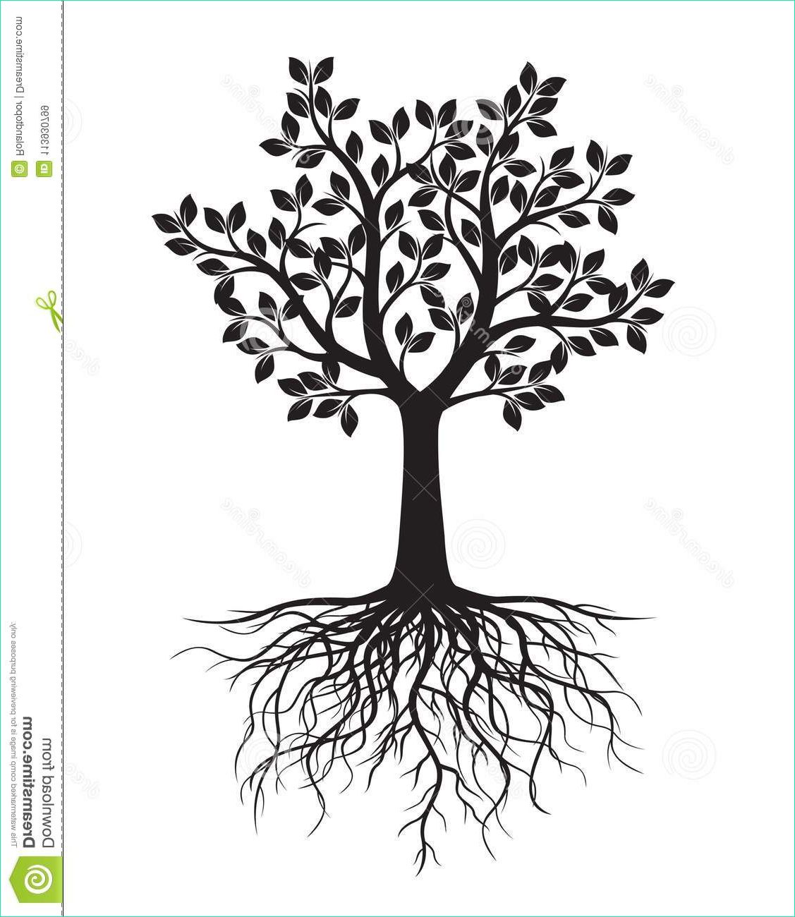 black tree leaves roots vector illustration graphic element black tree leaves roots image