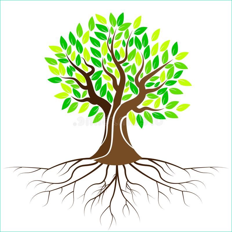 illustration stock feuilles d arbre couleur image