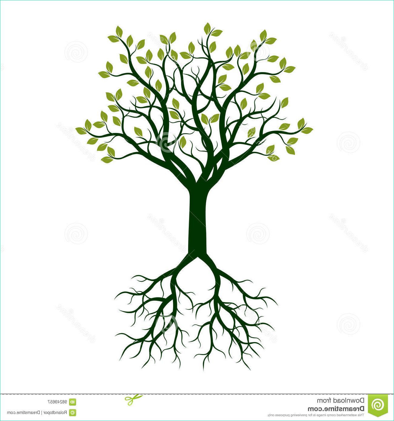 illustration stock arbre de couleur avec des racines illustration de vecteur image