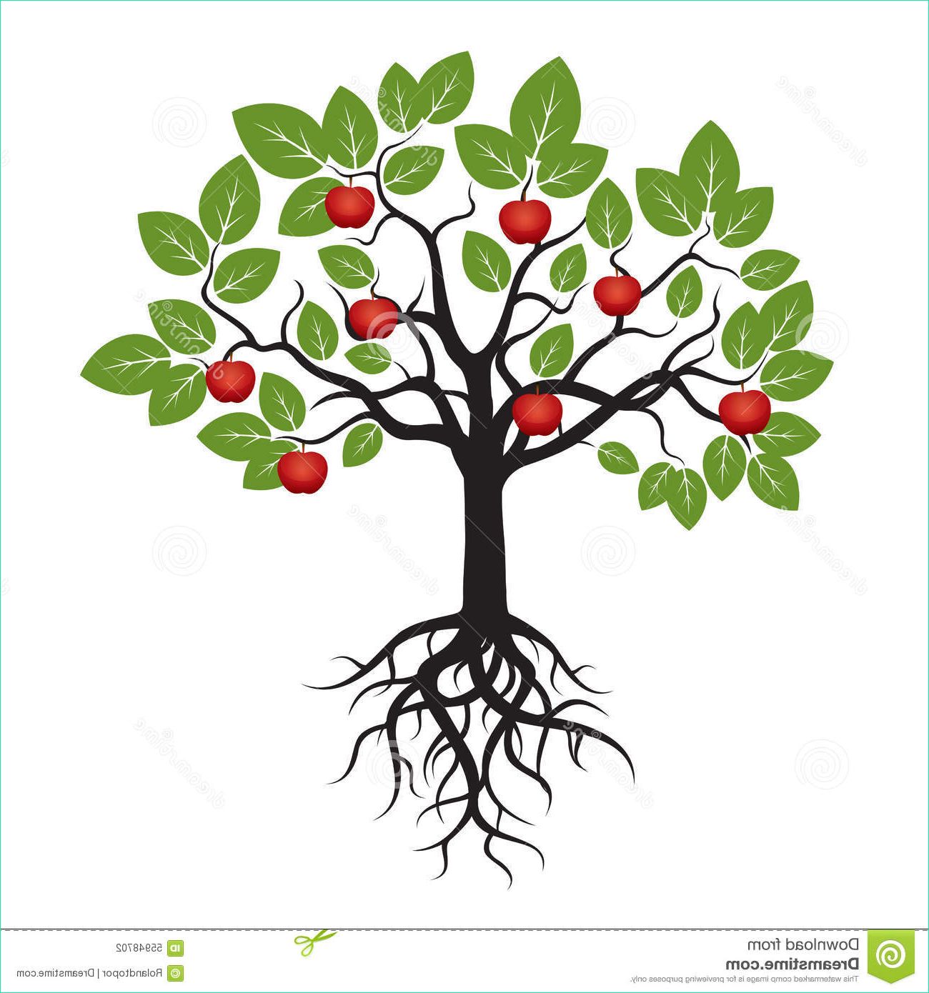 illustration stock arbre avec les feuilles vertes les racines et l apple rouge image
