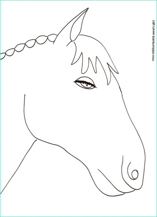 dessin tete de cheval kawaii