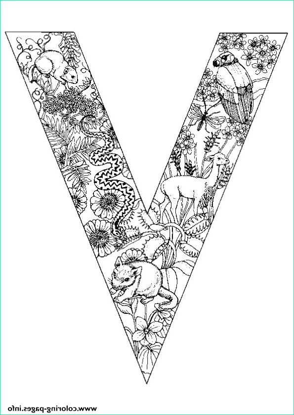 animal alphabet letter v printable coloring pages book
