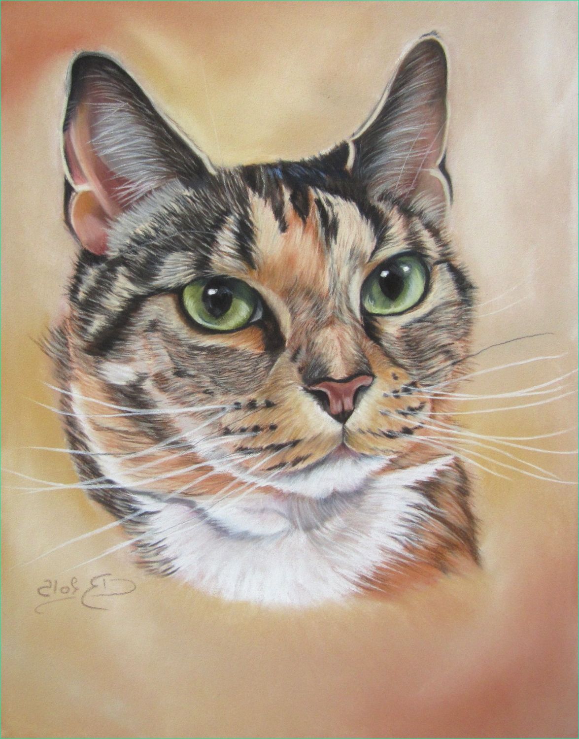 dessin et peinture video 1572 portrait de chat au pastels secs