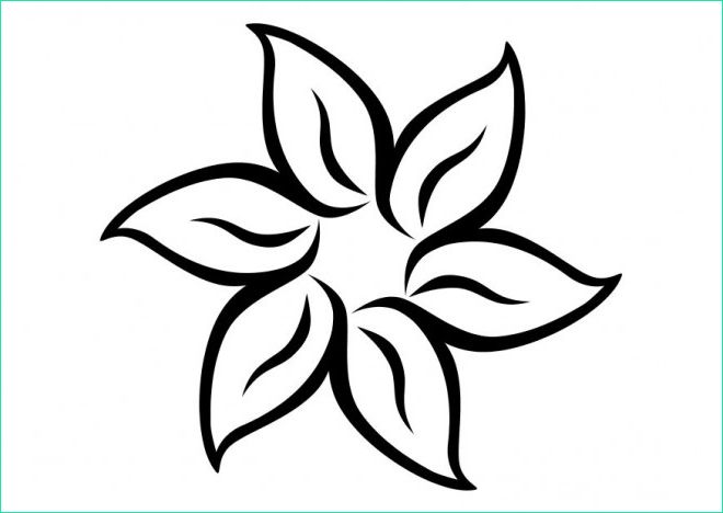 fleur mandala facile