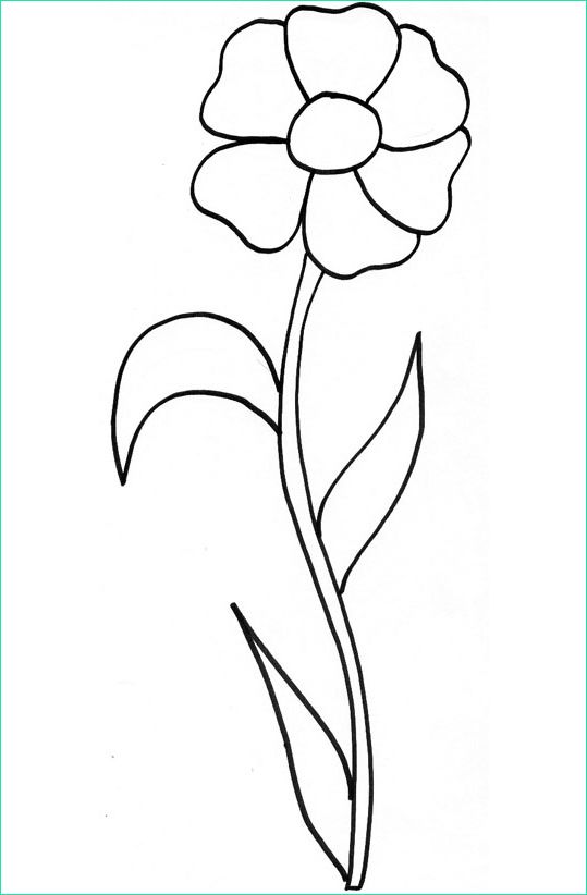 dessin fleur d