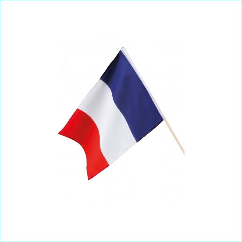 127 drapeau france 45 x 30 cm avec support bois
