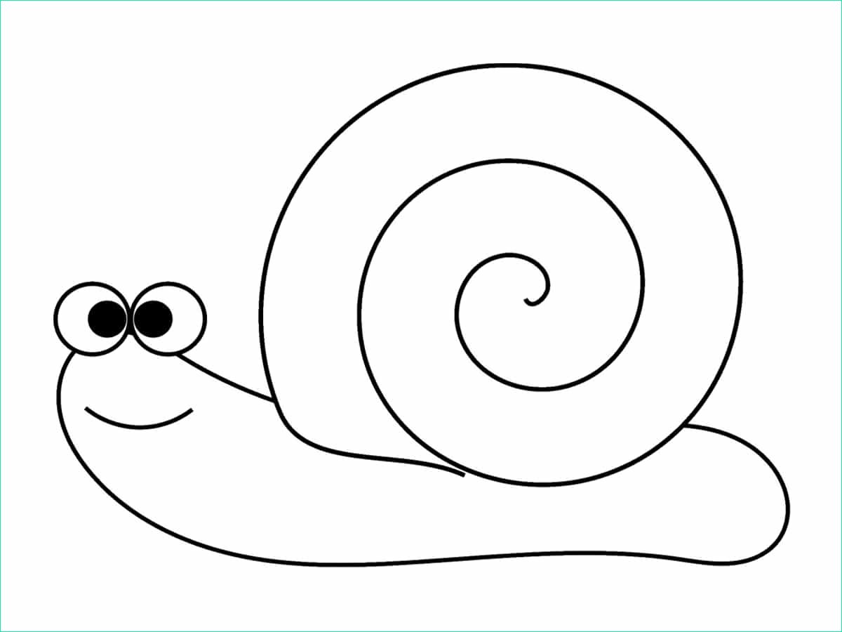 meilleur escargot dessin apercu