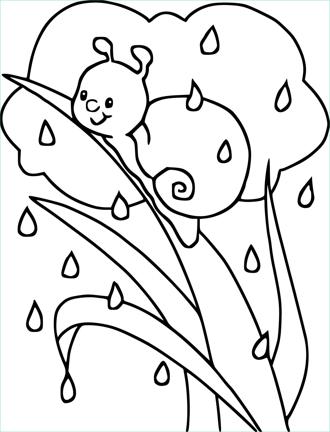 escargot sous la pluie